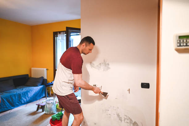 Best Commercial Mold Removal  in Progreso, TX